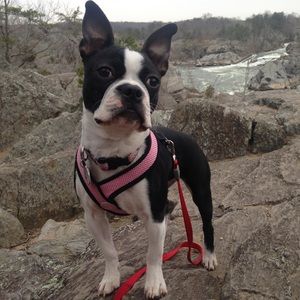 Meet your Posher, Lissel